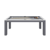 Billard blanc gris