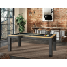 Billard noir et bois